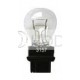S25 P27/7W Miniature Bulb